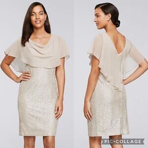 JESSICA HOWARD Short Glitter Lace Dress With Chiffon Capelet In Champagne Sz 12